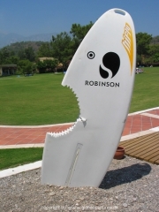 robinson-046