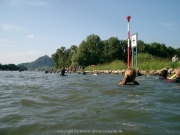 rheinschwimmen-076