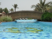 emirates-palace-042