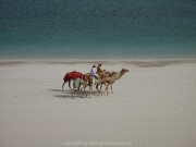 emirates-palace-050