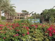emirates-palace-055