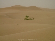 touren-19