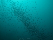 malediven-2013-053