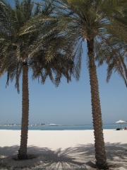 abu-dhabi-2014-080