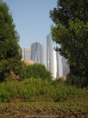 abu-dhabi-2014-083