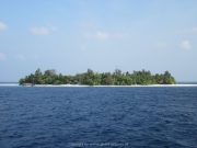 Malediven 2015 - 090