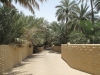 Abu Dhabi - Al Ain City - 14