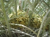 Abu Dhabi - Al Ain City - 16