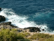 ibiza-010