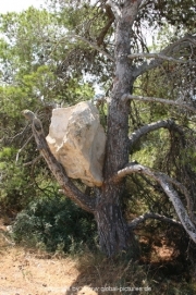 ibiza-033