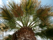 ibiza-053