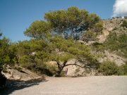 ibiza-062