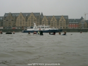 rheinschwimmen-33