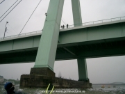 rheinschwimmen-37