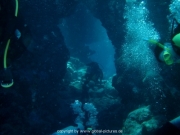 st-johns-009
