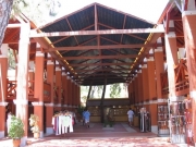 robinson-036