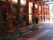 robinson-038