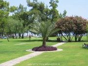 robinson-041