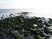 borkum-071
