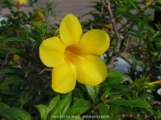 curacao-022