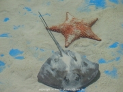 curacao-027