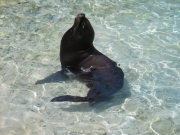 curacao-051