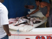 curacao-096
