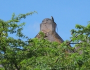 curacao-108