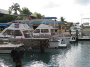 curacao-dive-003