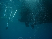 curacao-dive-023