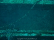 curacao-dive-028