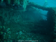 curacao-dive-030