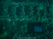 curacao-dive-031