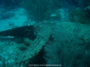 curacao-dive-036