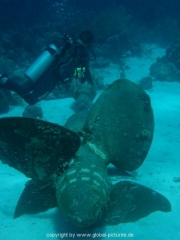 curacao-dive-039
