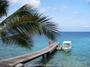 curacao-dive-046