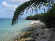 curacao-dive-047