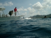 curacao-dive-049