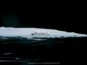 curacao-dive-063