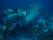 curacao-dive-065