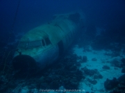 curacao-dive-072