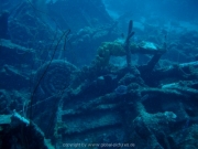 curacao-dive-075