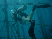curacao-dive-096