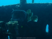 curacao-dive-100