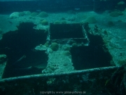 curacao-dive-102