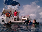 curacao-dive-104