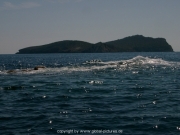 ibiza-010