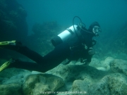 ibiza-030