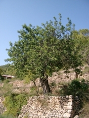 ibiza-044