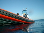ibiza-058